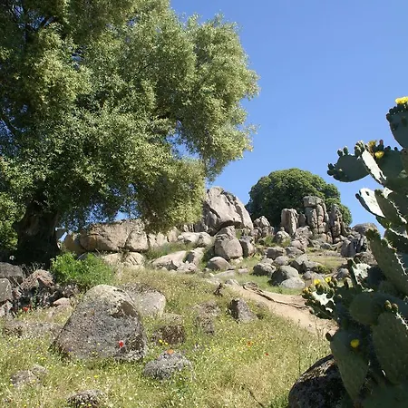 Holiday Anto - Maison De Vacances -